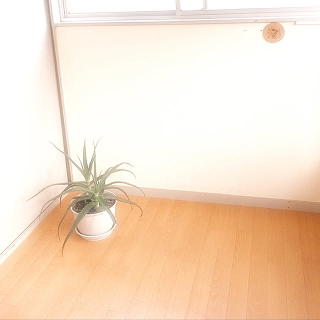 yamanekoさんの実例写真