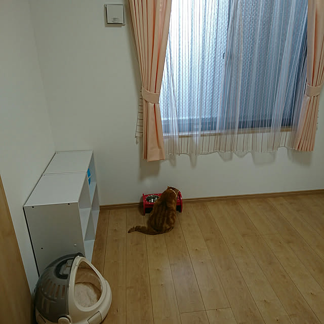 naoさんの実例写真