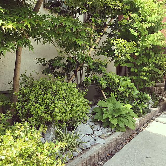 walking123さんの実例写真