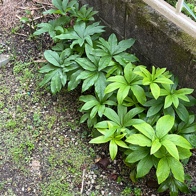 ritsukoさんの部屋