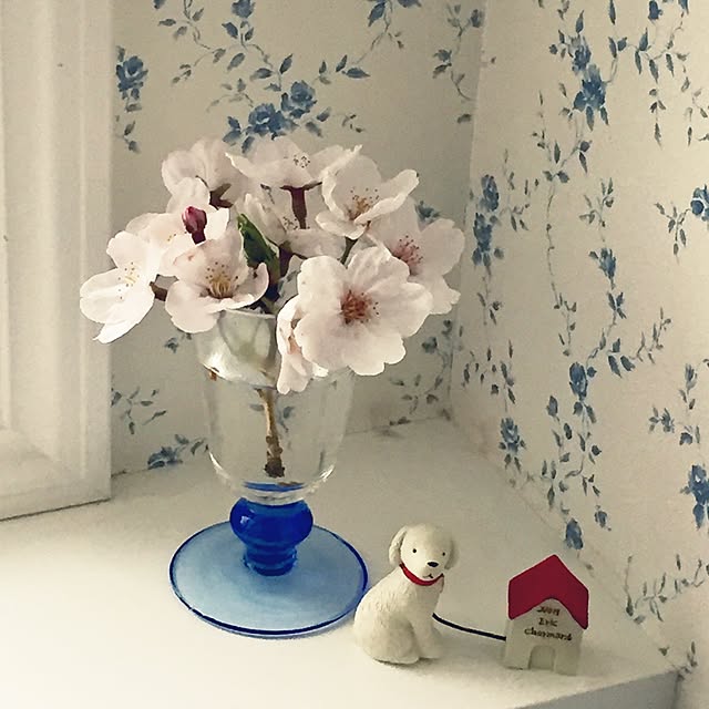 angeさんの実例写真