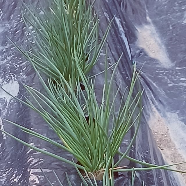 hiro.904さんの部屋