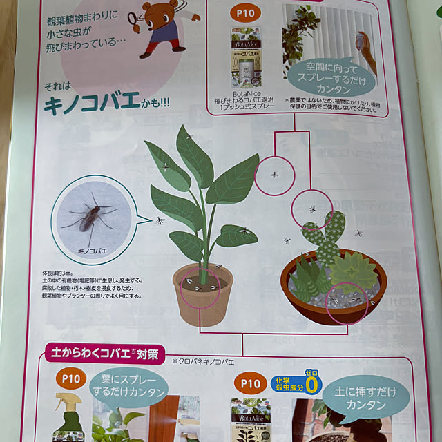 masamasaさんの部屋