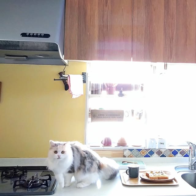 hiromi0302さんの実例写真