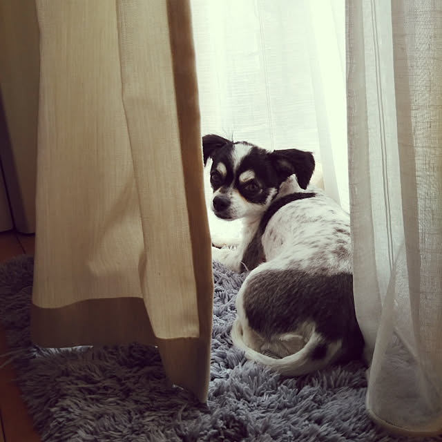yukkoさんの実例写真
