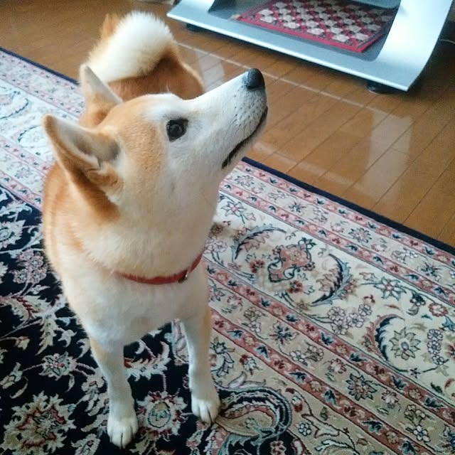 ree.yoshi-1001さんの実例写真