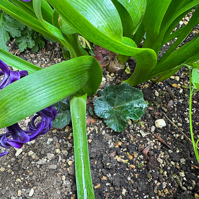 mamizaさんの部屋