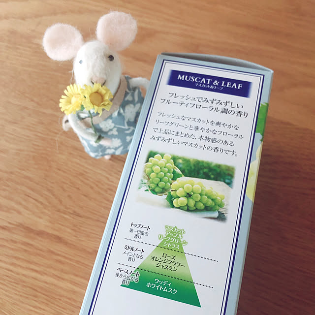 mangoさんの部屋