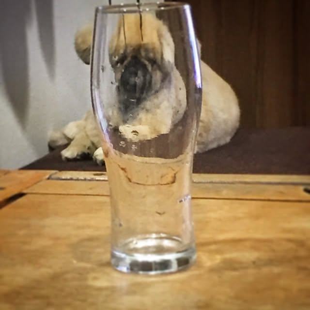 Eijiさんの実例写真