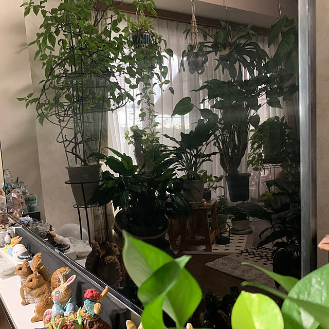 Aqettyさんの部屋