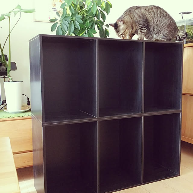 Hinataさんの実例写真