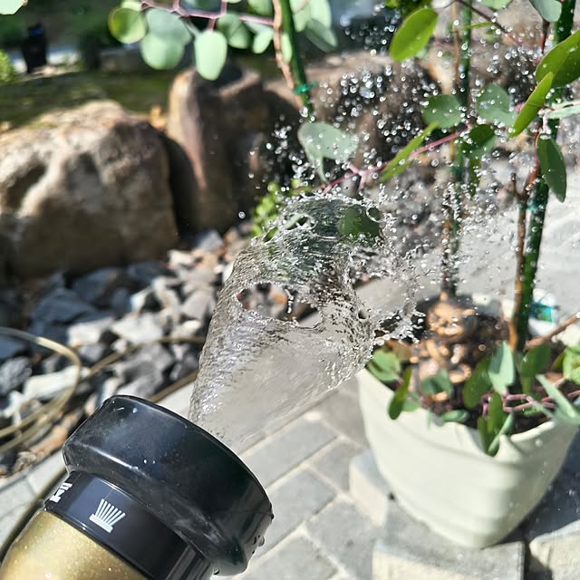 Rubiconさんの部屋