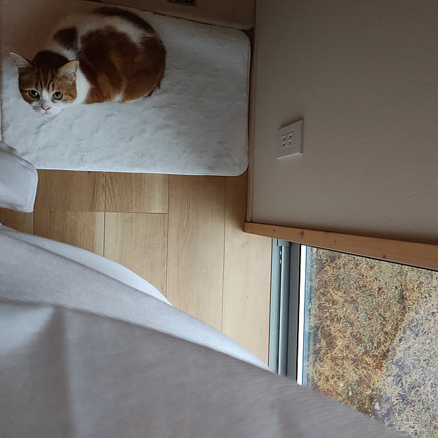 Coney_Island_NYさんの実例写真