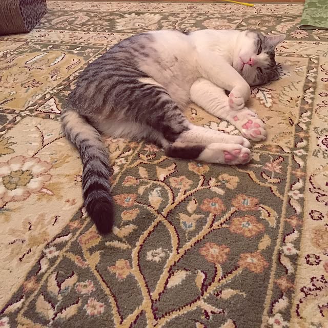 emmyyさんの実例写真