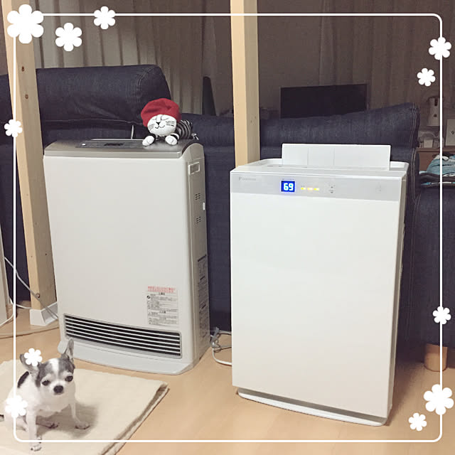 Emiさんの実例写真