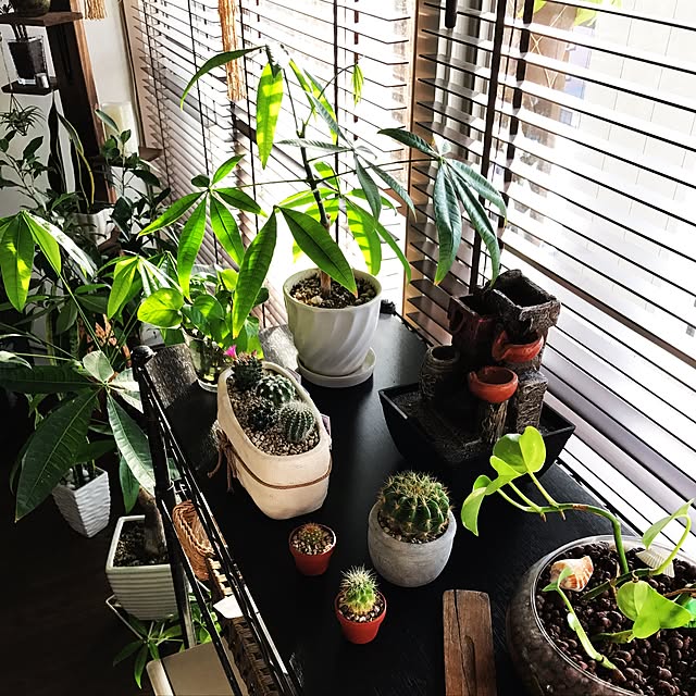 keiさんの実例写真