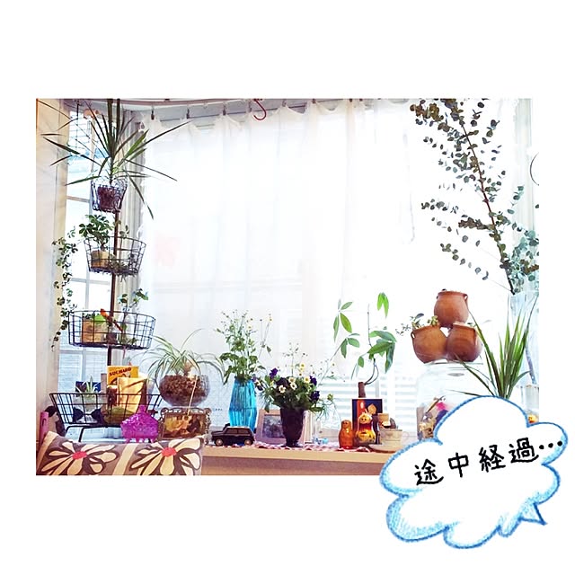 ayaco_cucirinaさんの実例写真