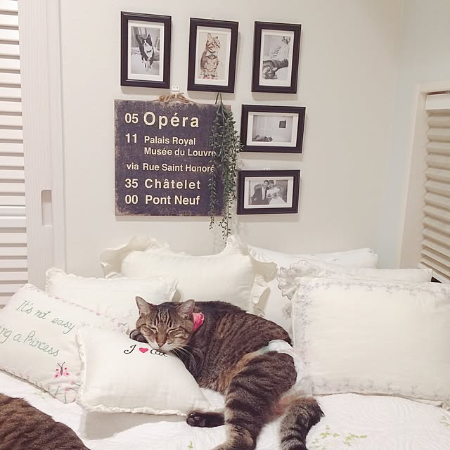 lovecatさんの実例写真