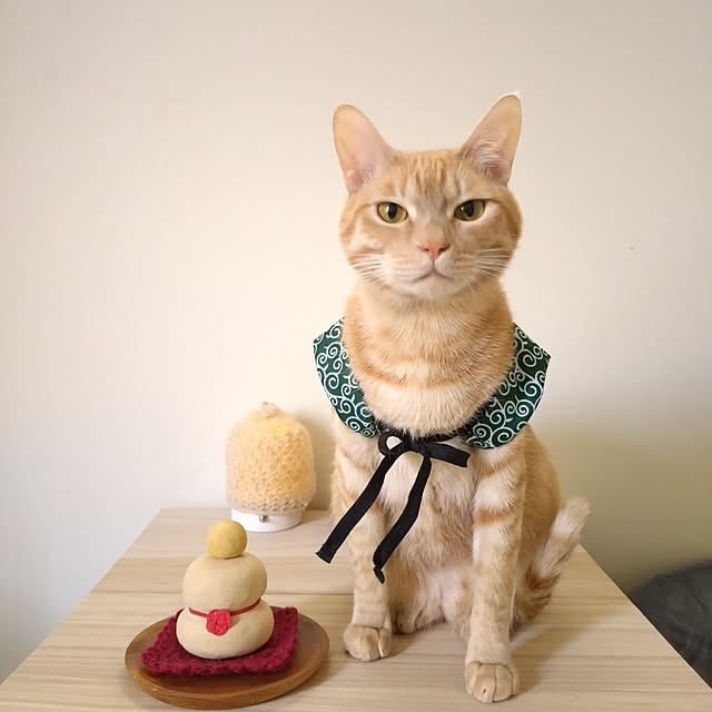 mayutan.さんの実例写真
