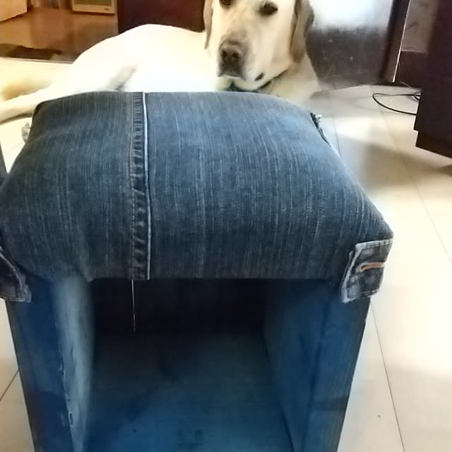 montomoさんの実例写真