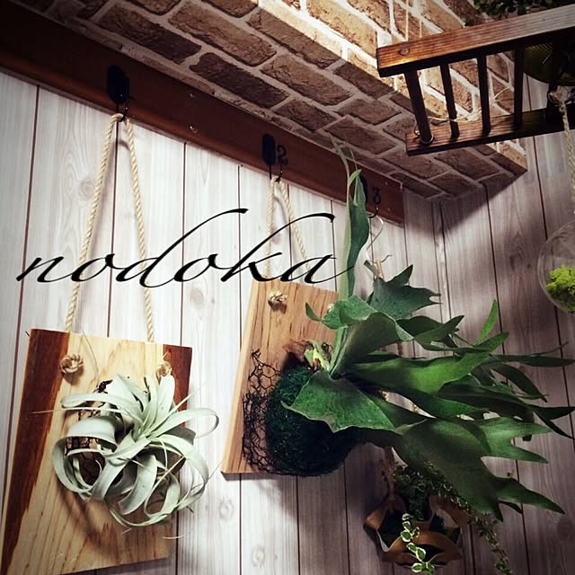 nodokaさんの実例写真