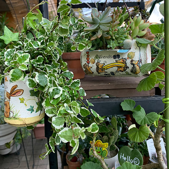 Aqettyさんの部屋