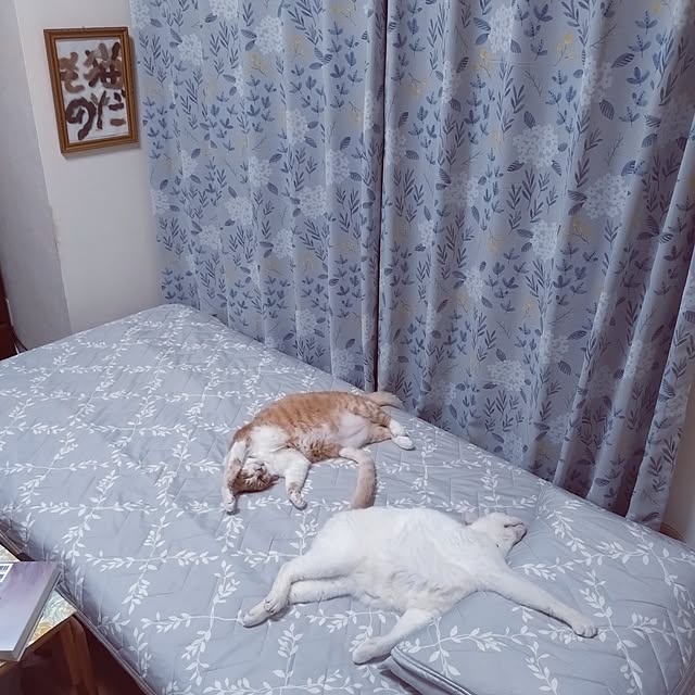 NOAHさんの部屋