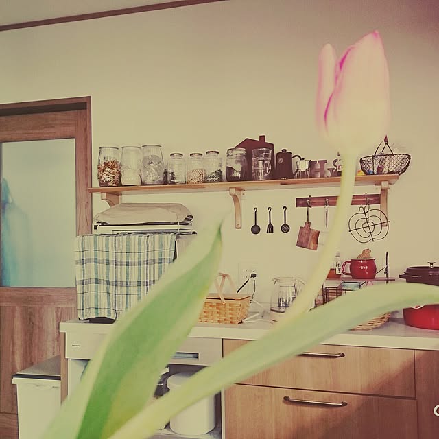 coffee-nokiさんの実例写真