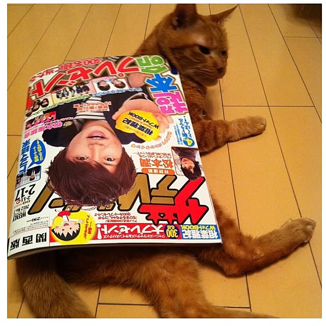 cyokotaroさんの実例写真