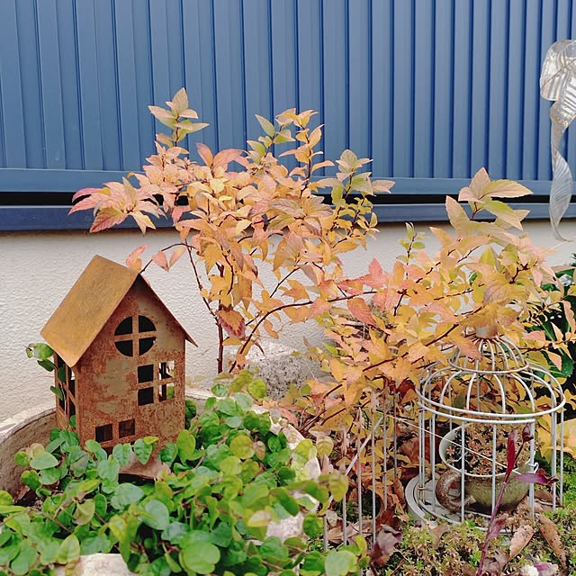 Motoziさんの実例写真