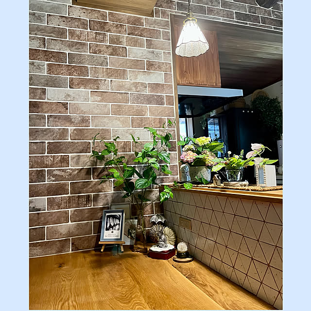 cotaさんの部屋