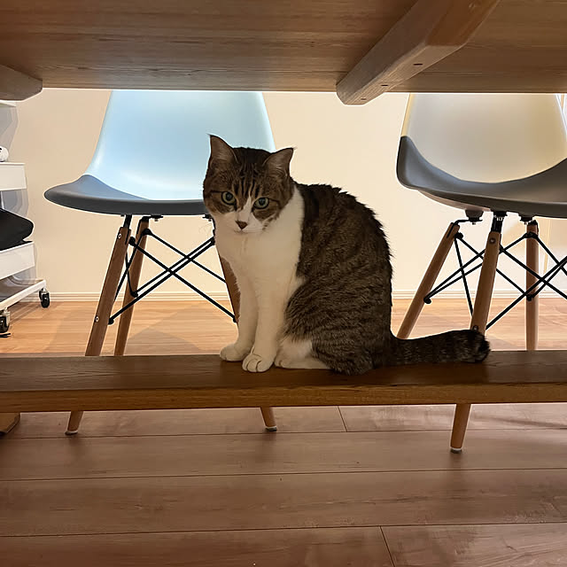 tiroさんの実例写真