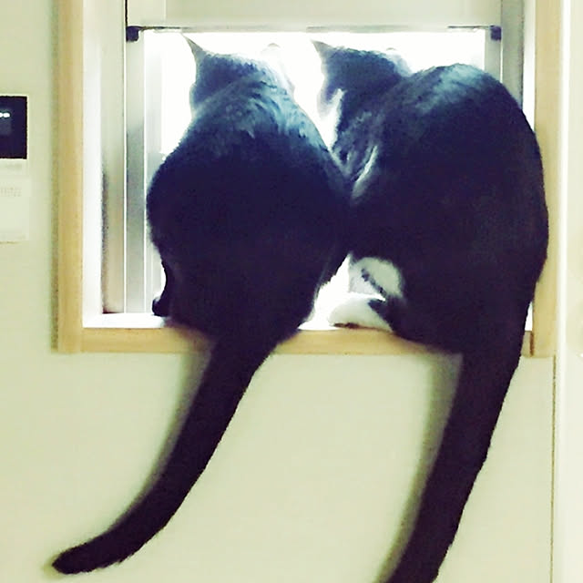 kirakirahikaruさんの実例写真