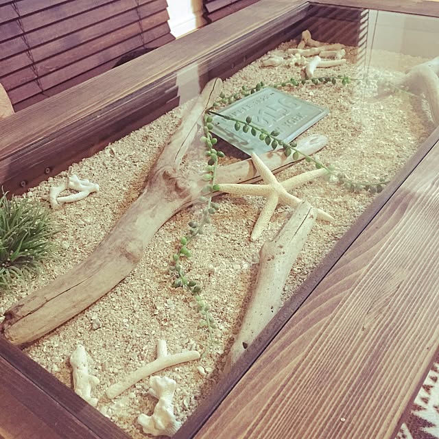 pinokoさんの実例写真