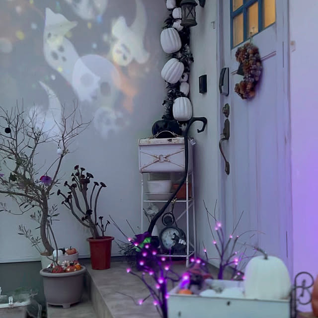 bambiさんの部屋