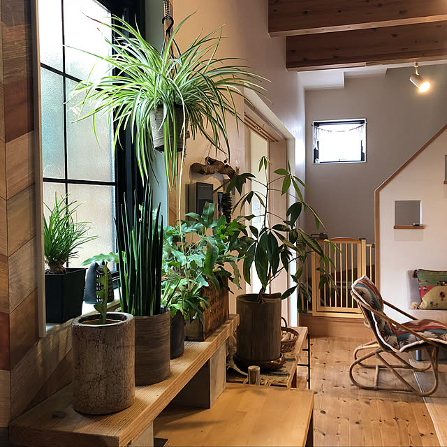 takakoさんの実例写真