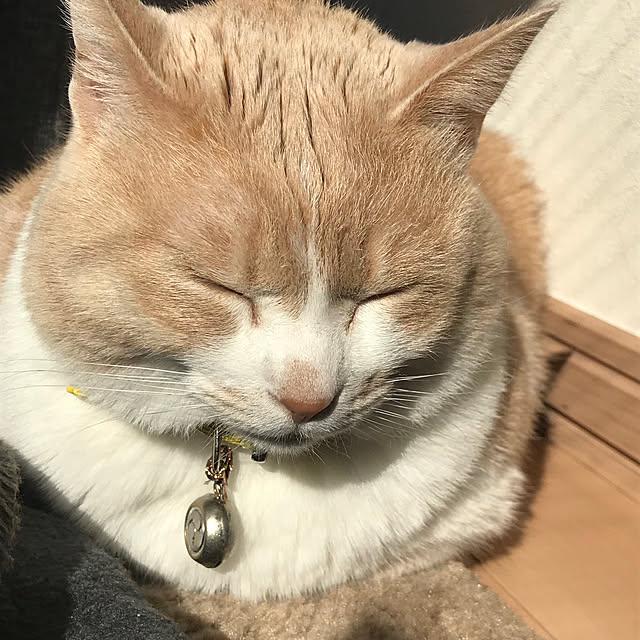 BUNさんの実例写真