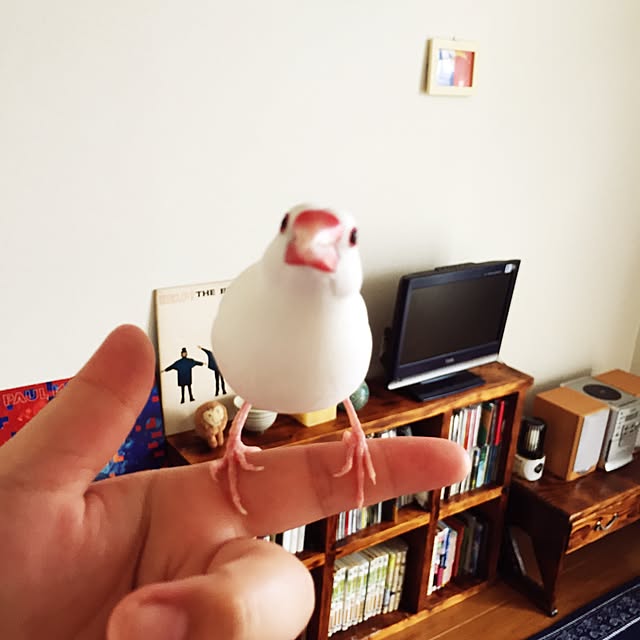 kotori_kmさんの実例写真
