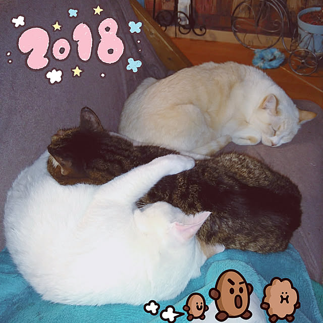 posauruさんの実例写真