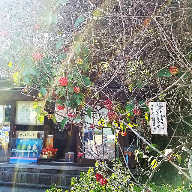 325unさんの実例写真