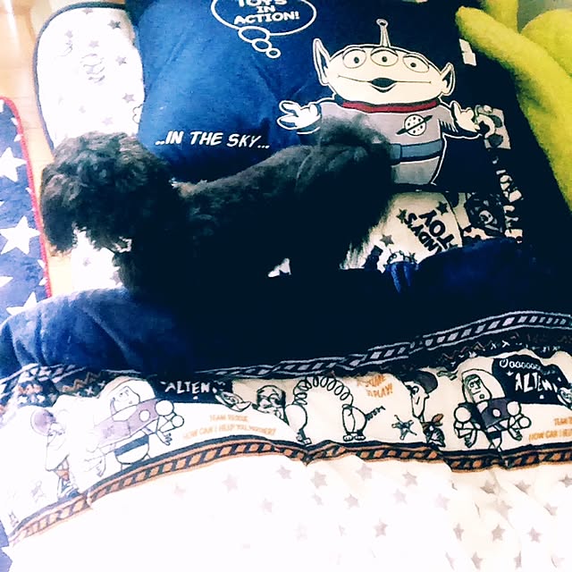 yukiさんの実例写真