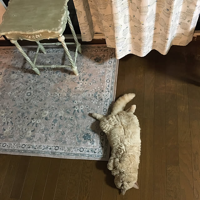 naokoさんの実例写真