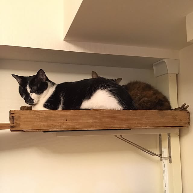 mikomaruさんの実例写真