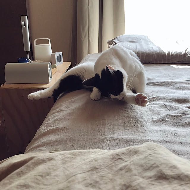 nicoさんの実例写真
