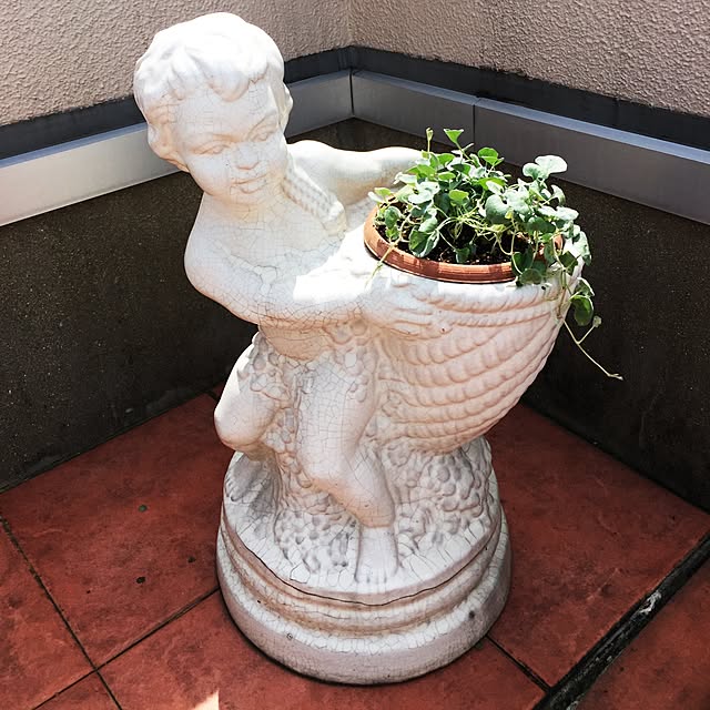 juneさんの実例写真