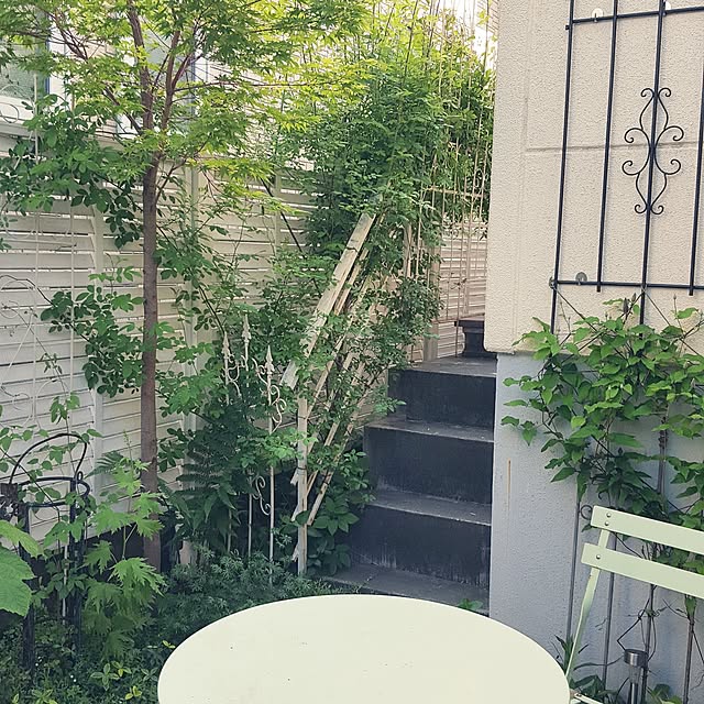 neoさんの実例写真