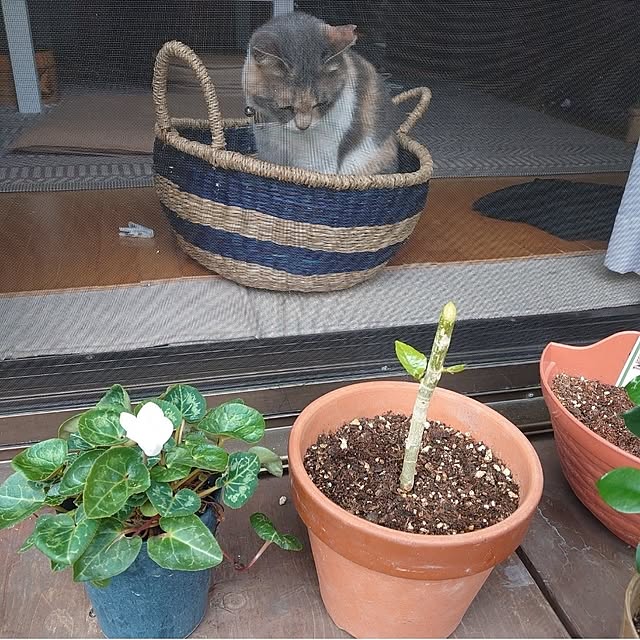 fukuさんの部屋