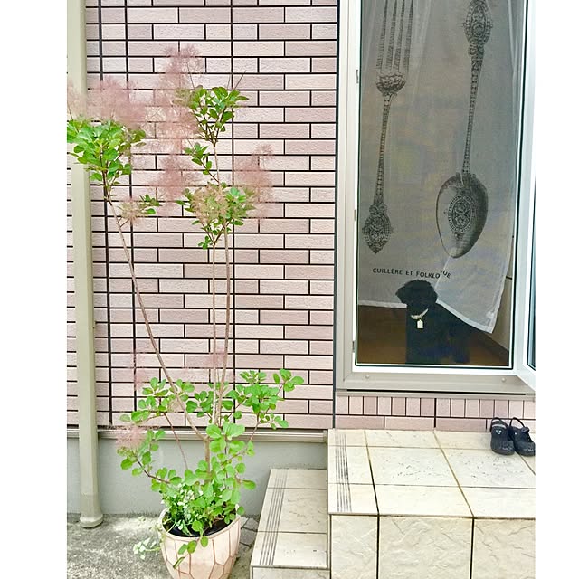 UNI.mamaさんの実例写真