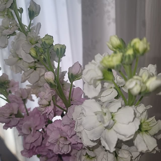 VIORAさんの実例写真