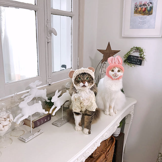 yuchiさんの実例写真
